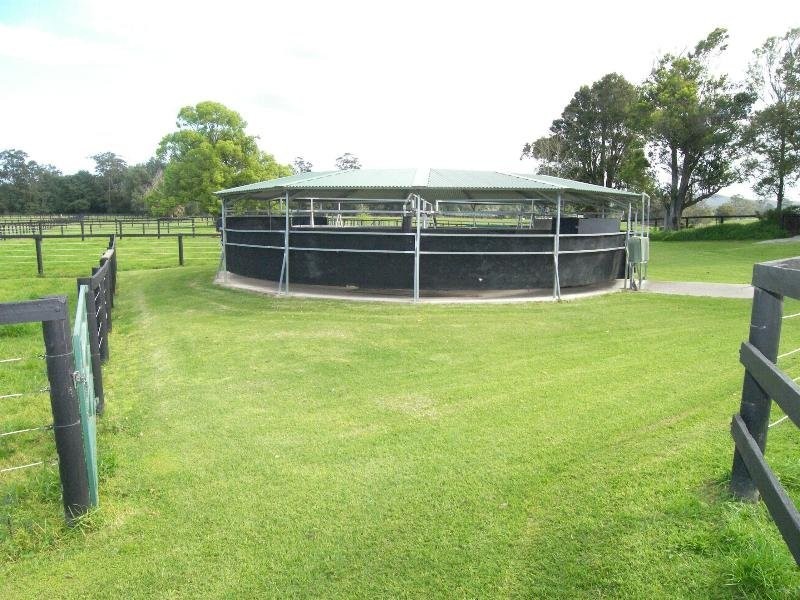 559 Dunks Lane, Jilliby NSW 2259