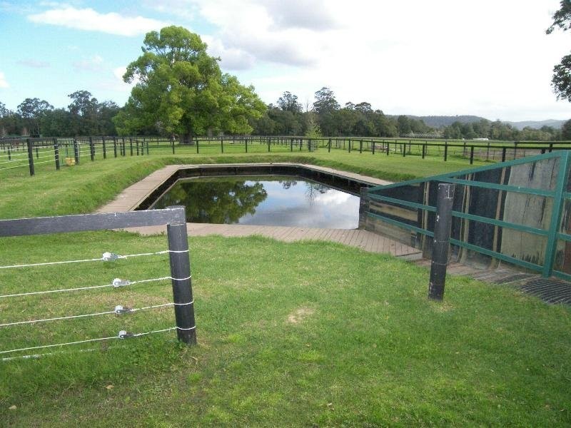 559 Dunks Lane, Jilliby NSW 2259
