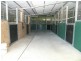 559 Dunks Lane, Jilliby NSW 2259