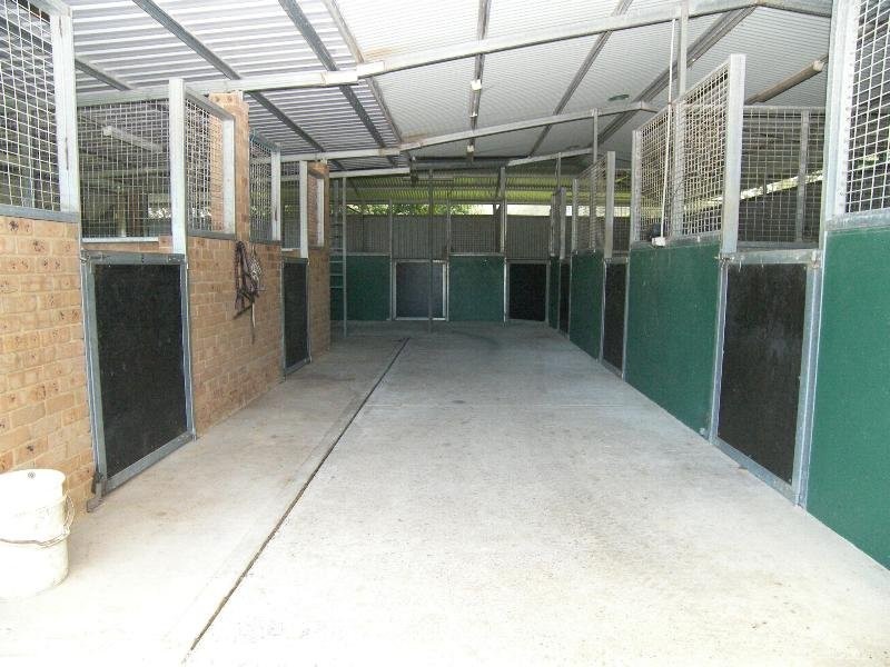 559 Dunks Lane, Jilliby NSW 2259
