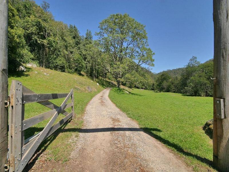 Cedar Brush Creek NSW 2259