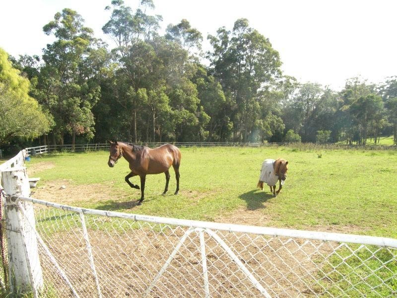 Fountaindale NSW 2258