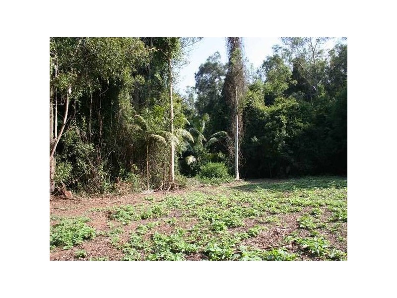 Dooralong NSW 2259