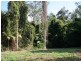 Dooralong NSW 2259