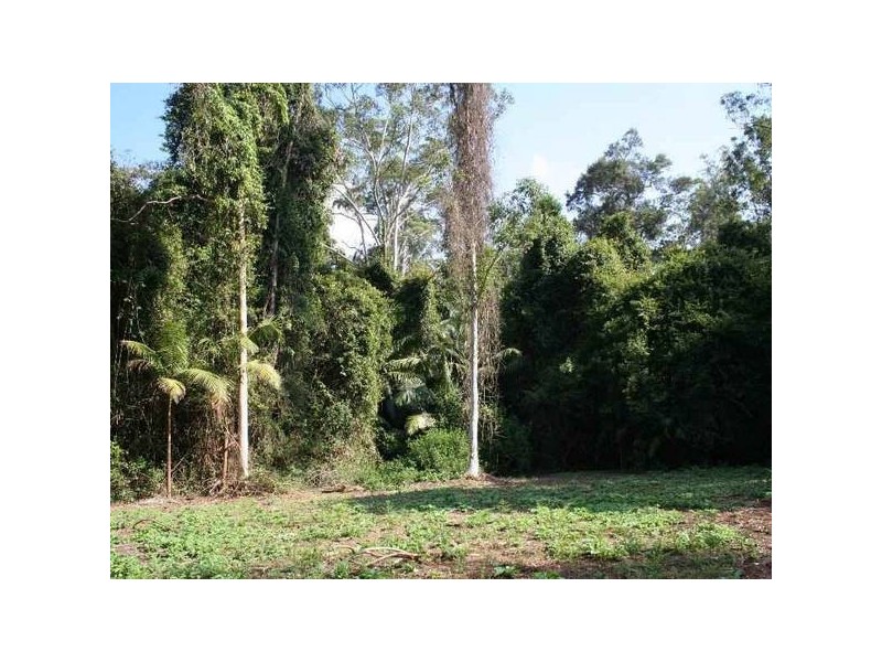 Dooralong NSW 2259