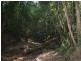 Dooralong NSW 2259