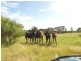 Kulnura NSW 2250