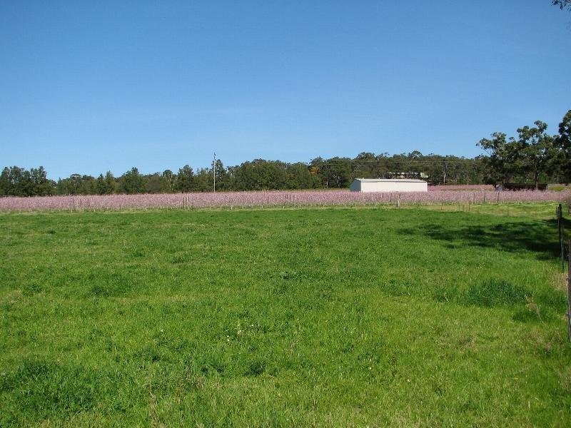 Mangrove Mountain NSW 2250