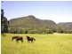 Lot 61 Ravensdale ROAD, Ravensdale NSW 2259