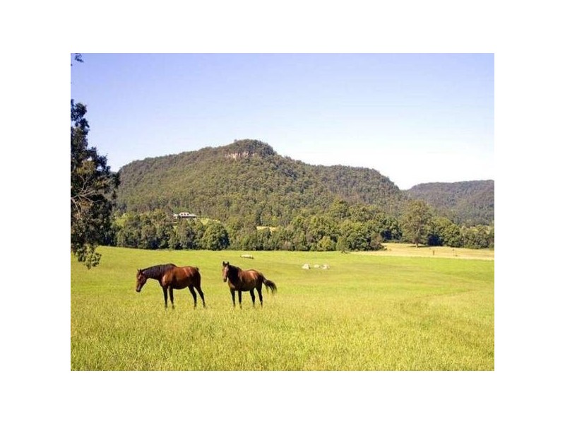 Lot 61 Ravensdale ROAD, Ravensdale NSW 2259