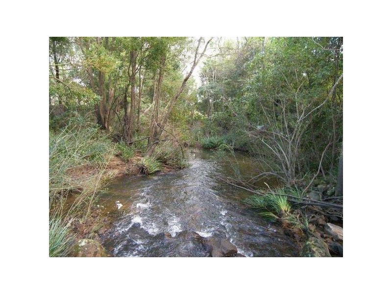 Lot 61 Ravensdale ROAD, Ravensdale NSW 2259