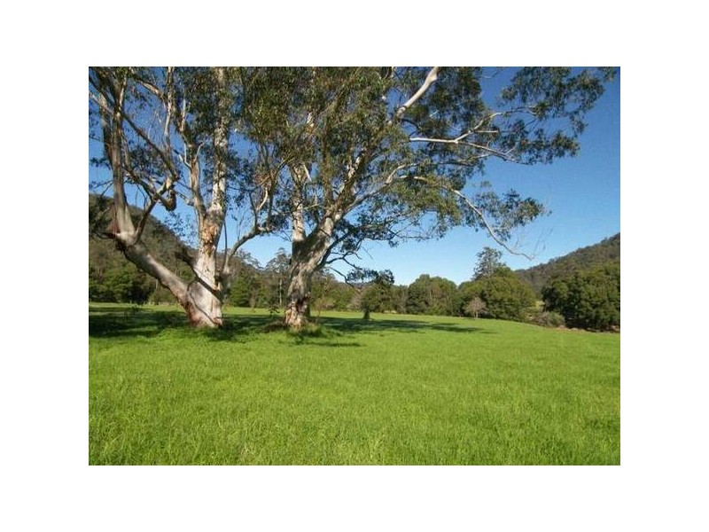 Lot 61 Ravensdale ROAD, Ravensdale NSW 2259