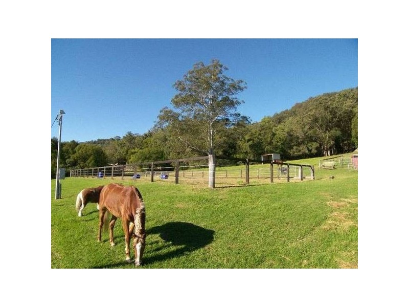 Ravensdale NSW 2259