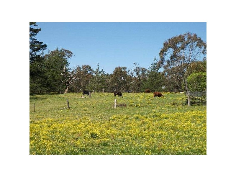 Central Mangrove NSW 2250