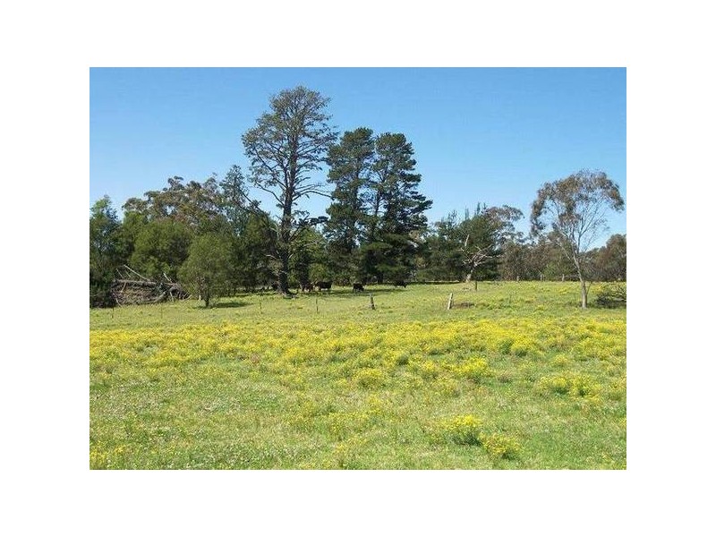 Central Mangrove NSW 2250