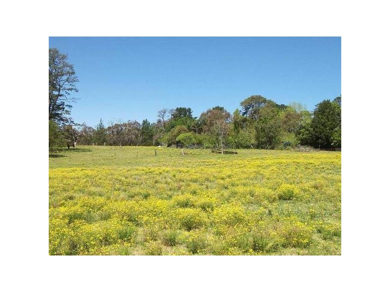 Central Mangrove NSW 2250