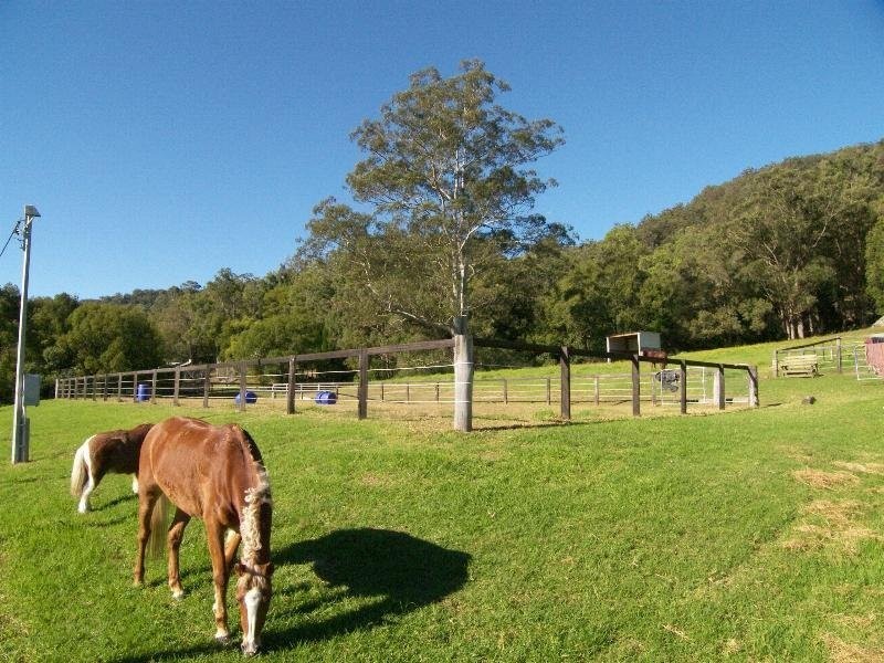 Yarramalong NSW 2259