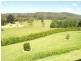 Yarramalong NSW 2259