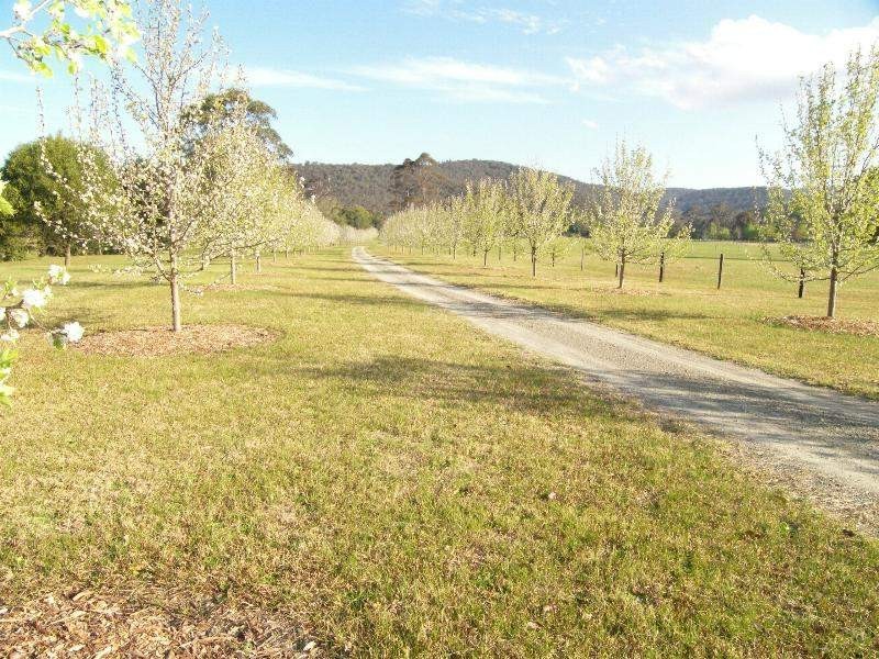 Yarramalong NSW 2259