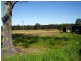 Wadalba NSW 2259