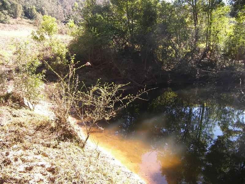 Ravensdale NSW 2259