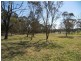 Somersby NSW 2250