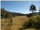 Yarramalong NSW 2259