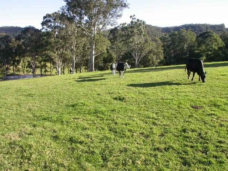 Dooralong NSW 2259