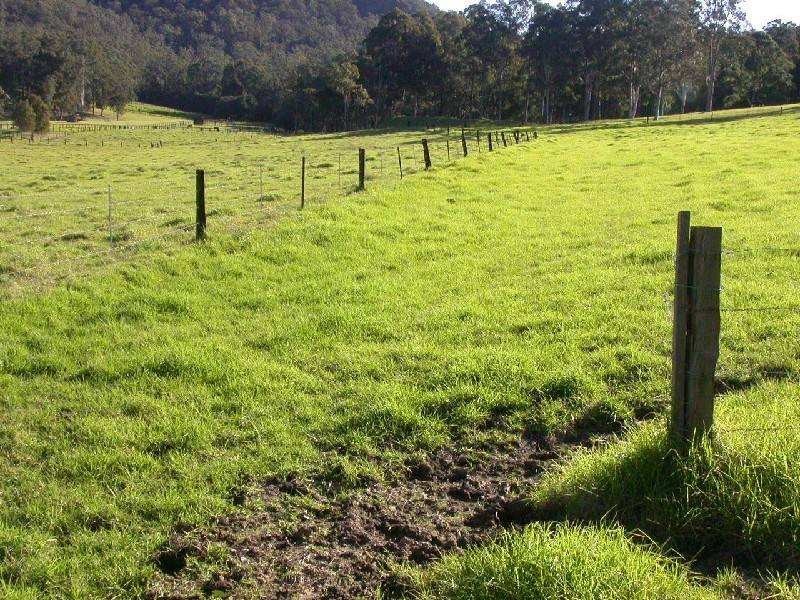Dooralong NSW 2259