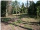 Dooralong NSW 2259