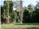 Dooralong NSW 2259
