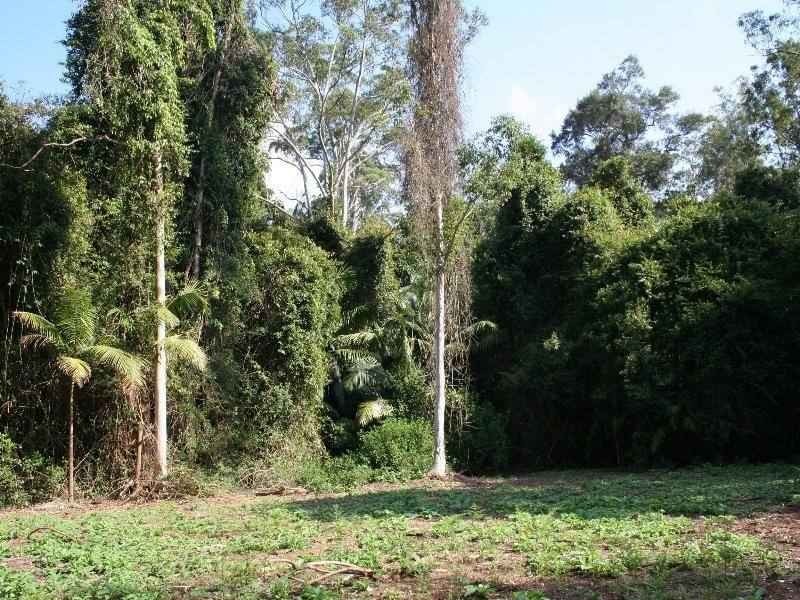 Dooralong NSW 2259
