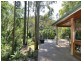 Cedar Brush Creek NSW 2259