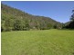 Cedar Brush Creek NSW 2259