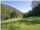 Cedar Brush Creek NSW 2259