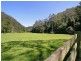 Cedar Brush Creek NSW 2259