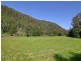 Cedar Brush Creek NSW 2259