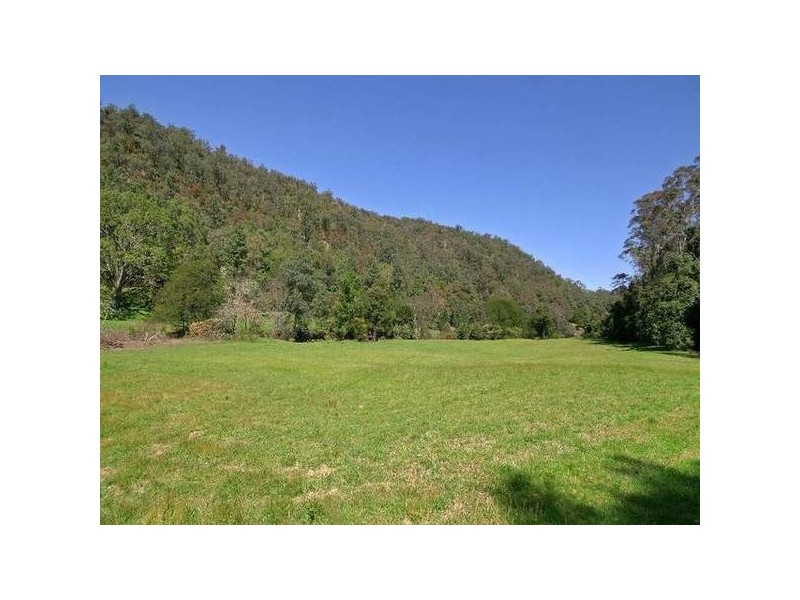 Cedar Brush Creek NSW 2259
