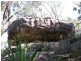 Mangrove Mountain NSW 2250