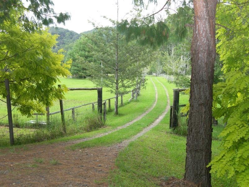 Cedar Brush Creek NSW 2259