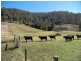 Yarramalong NSW 2259