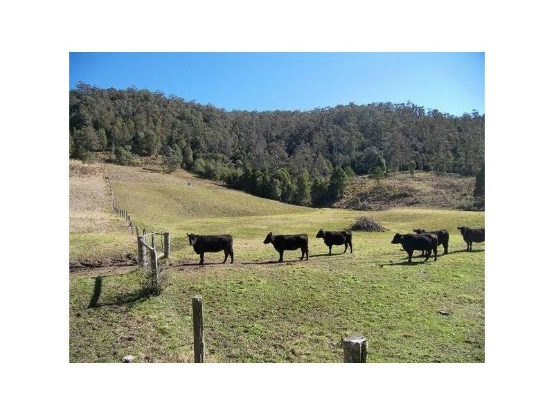 Yarramalong NSW 2259