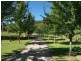 Palm Grove NSW 2258