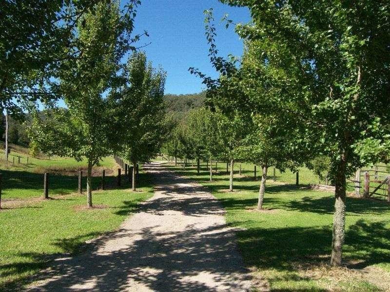 Palm Grove NSW 2258