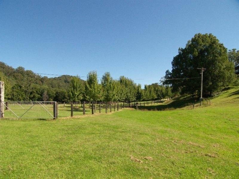Palm Grove NSW 2258