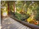 Palm Grove NSW 2258