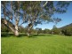 Ravensdale NSW 2259