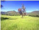 Ravensdale NSW 2259