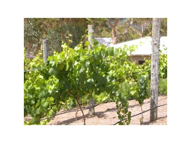 Kulnura NSW 2250