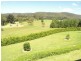 Wyong Creek NSW 2259